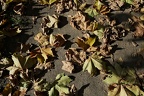 bunt 07