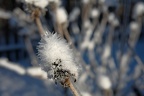 bunt 34