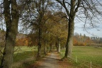 bunt 47